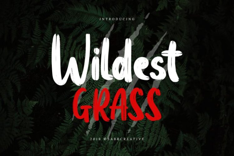 Wildest Grass Font - Low Cost Font