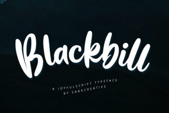 Blackbill Font - Low Cost Font