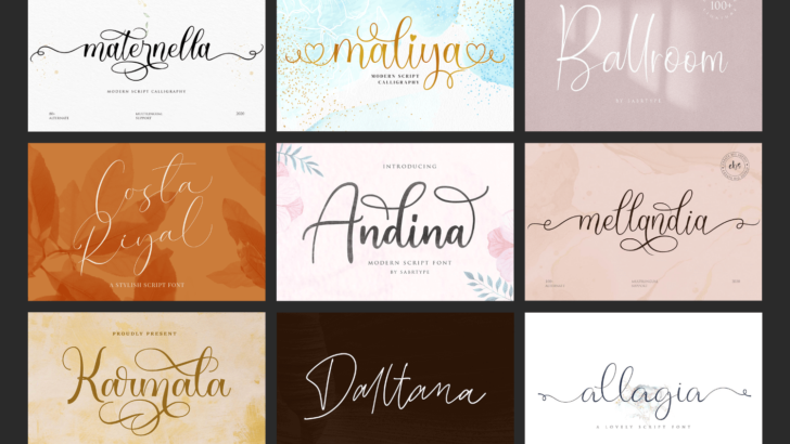 Elegant modern script fonts